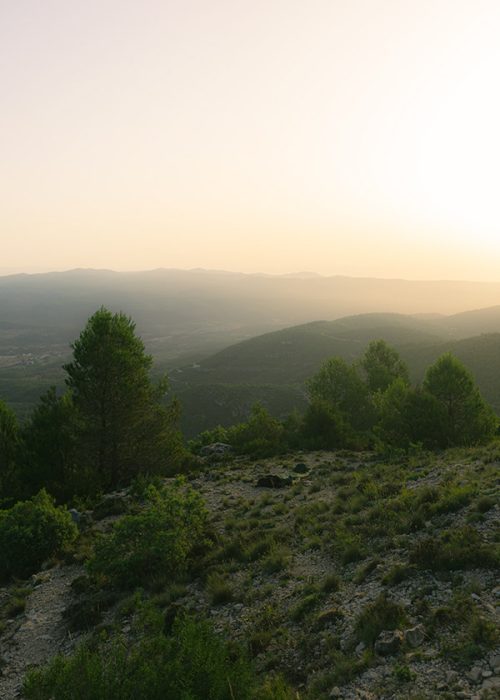 b824ecc0-b2c7-43b6-b5b1-9d16efd73689_rw_600